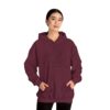 Ashby Public Library Hooded Sweatshirt - Image 33