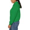 Ashby Public Library Hooded Sweatshirt - Image 78