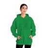 Ashby Public Library Hooded Sweatshirt - Image 72