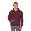 Ashby Public Library Hooded Sweatshirt - Image 36